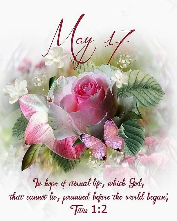 Celebrating May 17: 10 Inspiring Quotes and Sayings To Uplift Your Day - picture 4