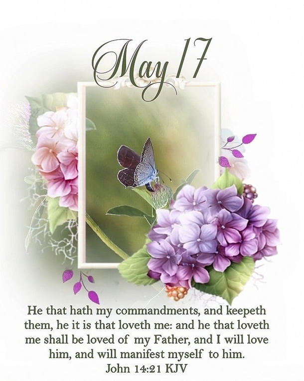 Celebrating May 17: 10 Inspiring Quotes and Sayings To Uplift Your Day - picture 5