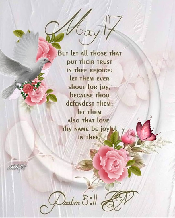Celebrating May 17: 10 Inspiring Quotes and Sayings To Uplift Your Day - picture 6