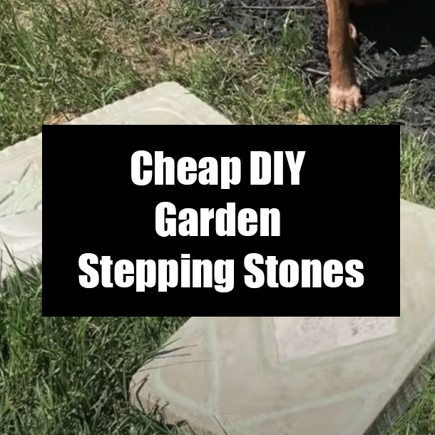Cheap DIY Garden Stepping Stones