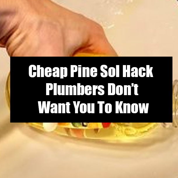 Cheap Pine Sol Hack Plumbers Don’t Want You To Know