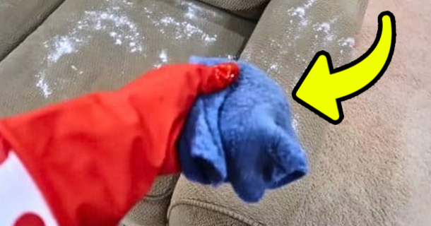 Cheap Way To Clean Couch And Remove Odors (DIY) - picture 2