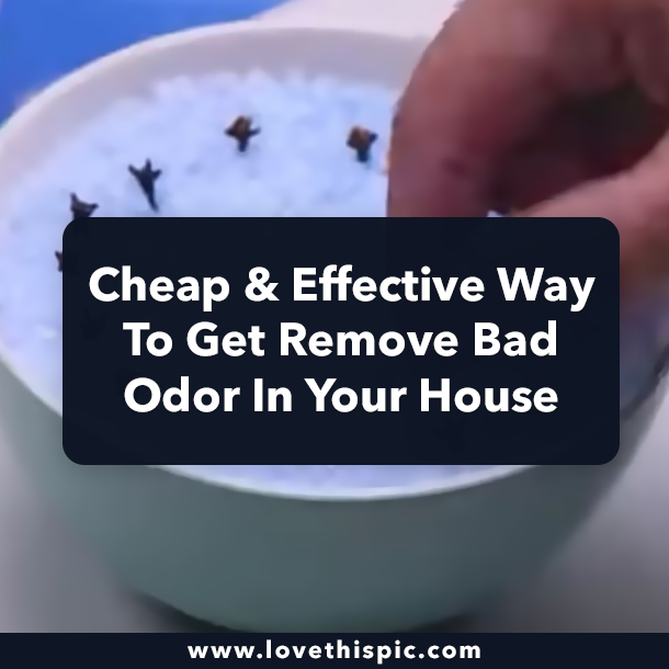 Cheap & Effective Way To Get Remove Bad Odor In Your House