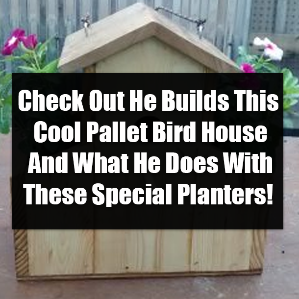 Check Out He Builds This Cool Pallet Bird House And What He Does With These Special Planters!