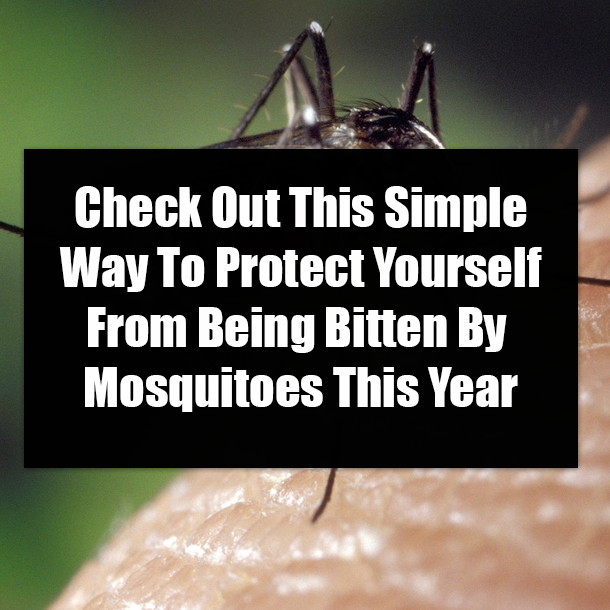 Check Out This Simple Way To Protect Yourself From Being Bitten By Mosquitoes This Year