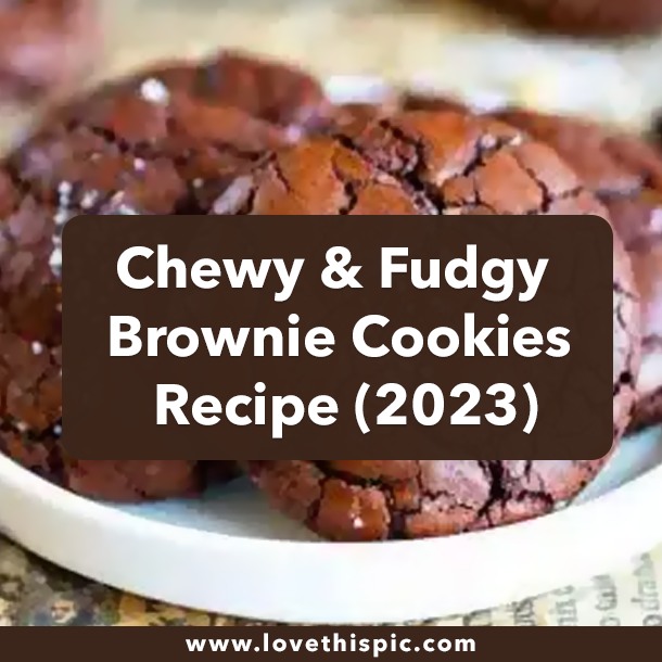 Chewy & Fudgy Brownie Cookies Recipe (2023)
