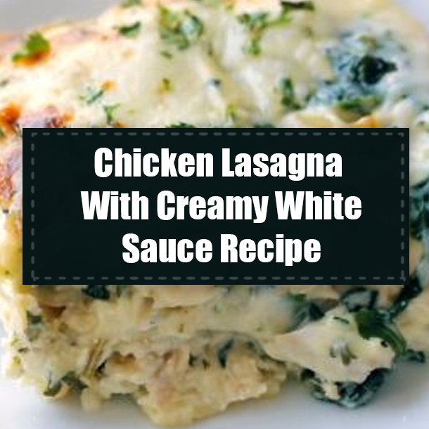 Chicken Lasagna With Creamy White Sauce Recipe