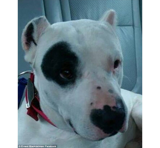 Chili's Manager Takes Vet's Complimentary Meal Away For A Reason Nobody Saw Coming - picture 4