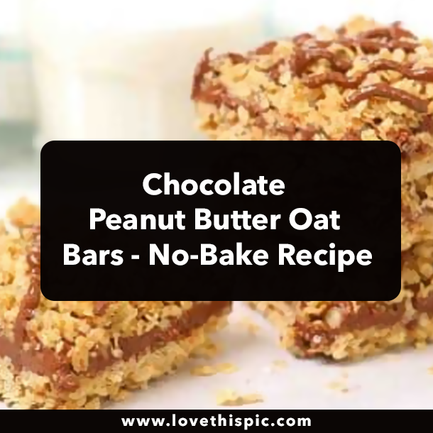 Chocolate Peanut Butter Oat Bars - No-Bake Recipe