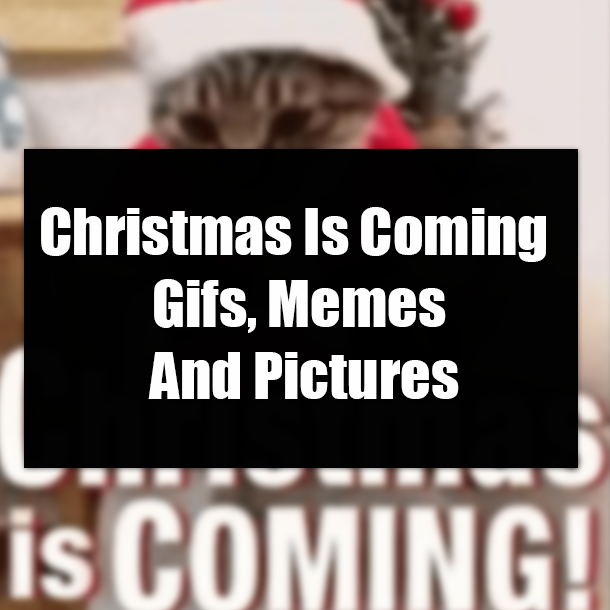 Christmas Is Coming Gifs, Memes And Pictures