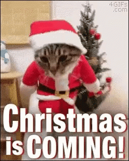 Christmas Is Coming Gifs, Memes And Pictures - picture 7
