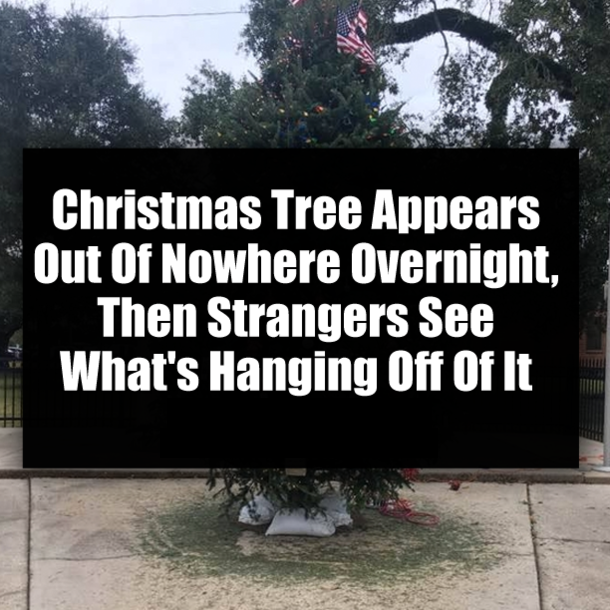 Christmas Tree Appears Out Of Nowhere Overnight, Then Strangers See What's Hanging Off Of It