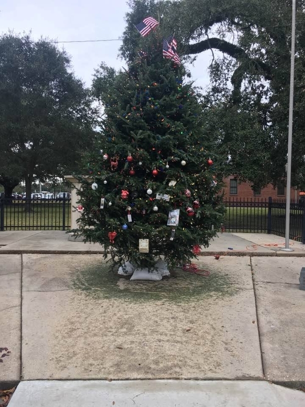 Christmas Tree Appears Out Of Nowhere Overnight, Then Strangers See What's Hanging Off Of It - picture 3