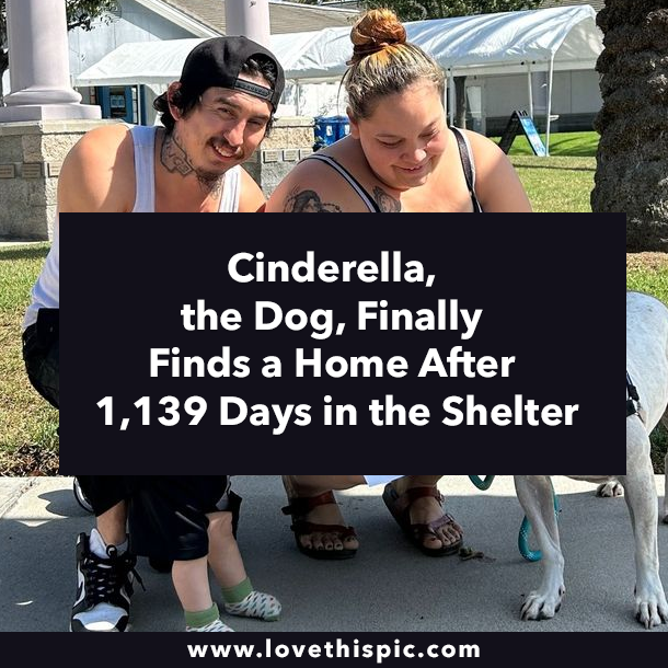 Cinderella, the Dog, Finally Finds a Home After 1,139 Days in the Shelter