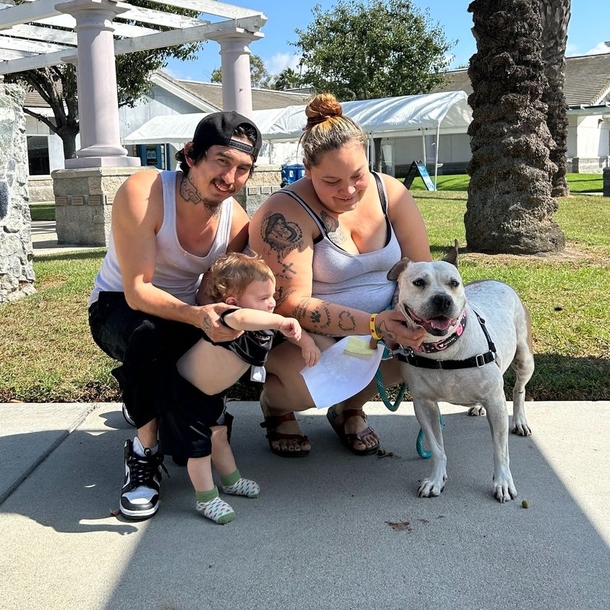 Cinderella, the Dog, Finally Finds a Home After 1,139 Days in the Shelter - picture 2