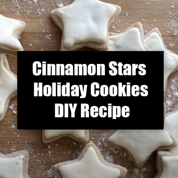 Cinnamon Stars Holiday Cookies DIY Recipe