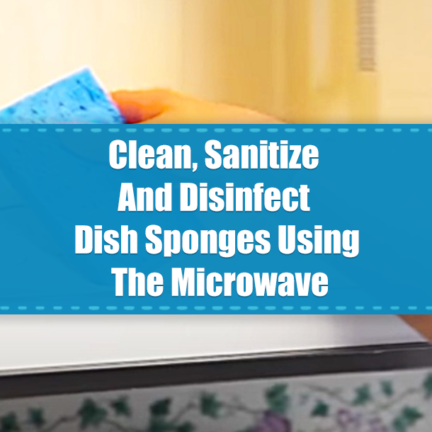 Clean, Sanitize And Disinfect Dish Sponges Using The Microwave