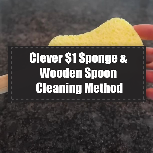 Clever $1 Sponge & Wooden Spoon Cleaning Method