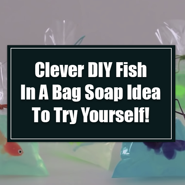 Clever DIY Fish In A Bag Soap Idea To Try Yourself!
