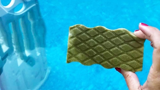 Clever Grandma Goes Viral On The Internet After Throwing Magic Eraser Into Dirty Green Pool - picture 2