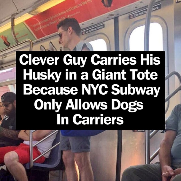 Clever Guy Carries His Husky in a Giant Tote Because NYC Subway Only Allows Dogs in Carriers