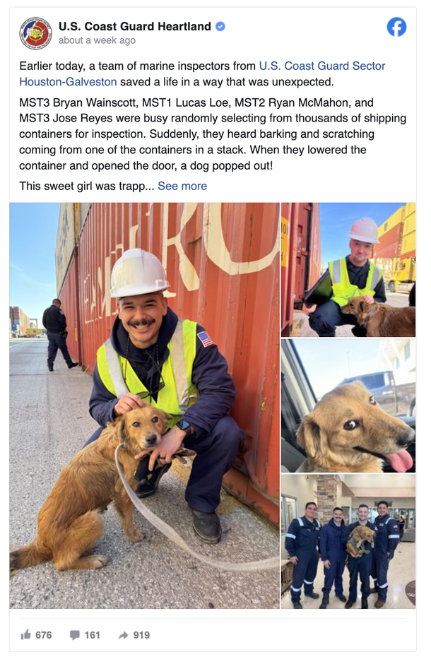 Coast Guard officers hear barking and scratching from shipping container — save dog who had been trapped for a week - picture 3