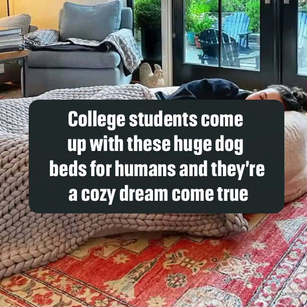 College students come up with these huge dog beds for humans and they’re a cozy dream come true