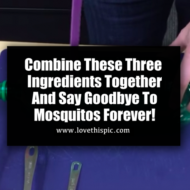Combine These Three Ingredients Together And Say Goodbye To Mosquitos Forever!