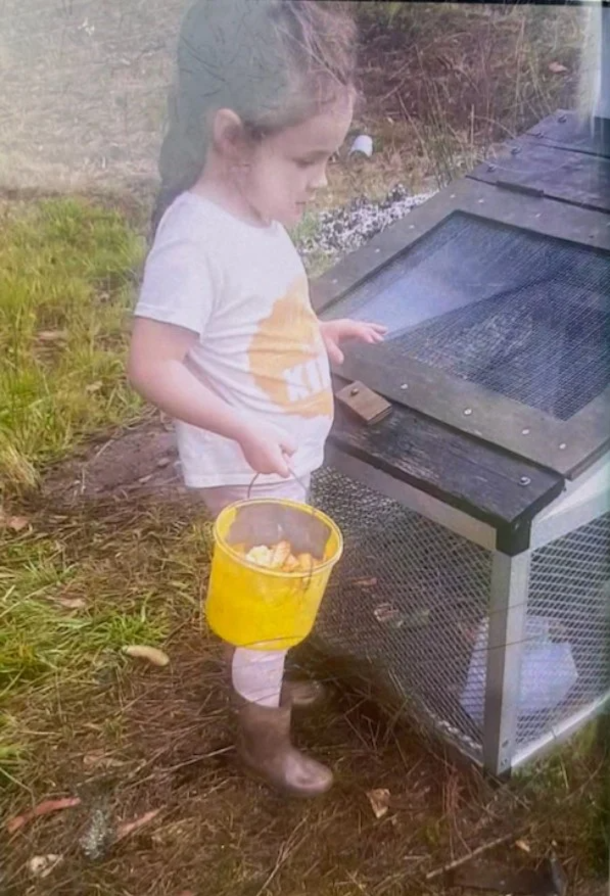 Community Comes Together To Find Missing 4-Yr-Old — And Brings Her Back Home! - picture 2