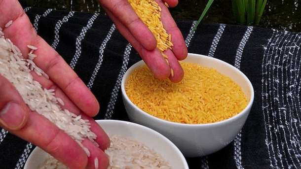 Company Caught Selling Plastic As Rice -- It May Be In Your Cabinet Right Now - picture 2