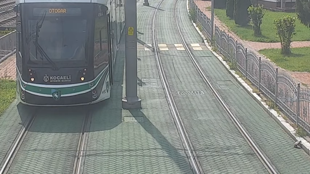 Conductor stops train to help save turtle stuck on train tracks - picture 2
