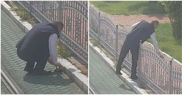 Conductor stops train to help save turtle stuck on train tracks - picture 3