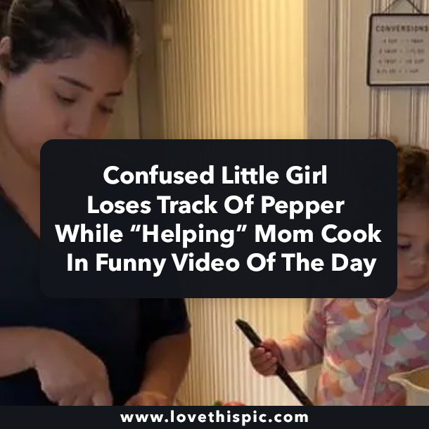 Confused Little Girl Loses Track Of Pepper While “Helping” Mom Cook In Funny Video Of The Day