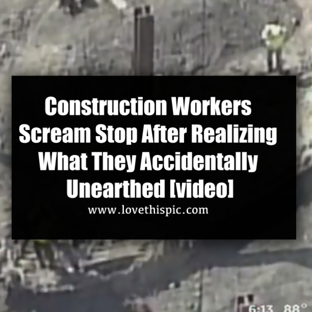 Construction Workers Scream Stop After Realizing What They Accidentally Unearthed [video]