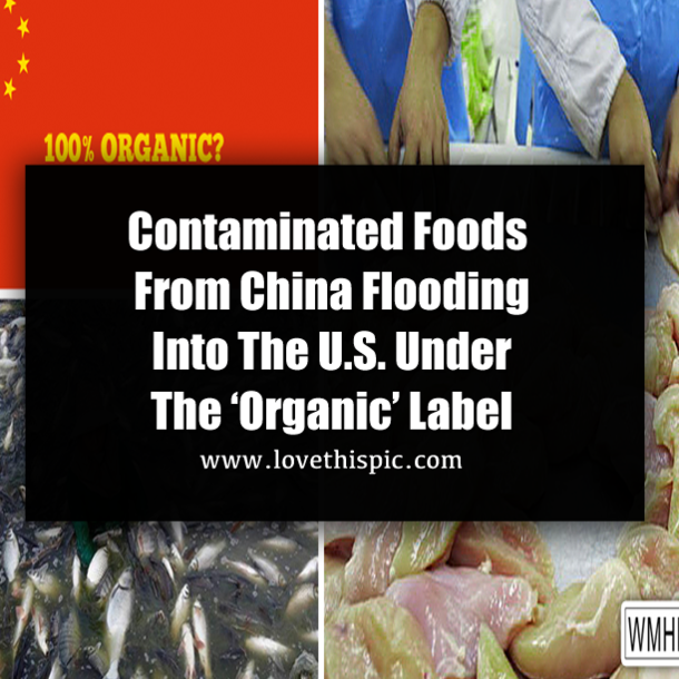 Contaminated Foods From China Flooding Into The U.S. Under The ‘Organic’ Label