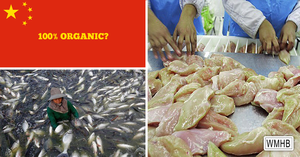 Contaminated Foods From China Flooding Into The U.S. Under The ‘Organic’ Label - picture 2