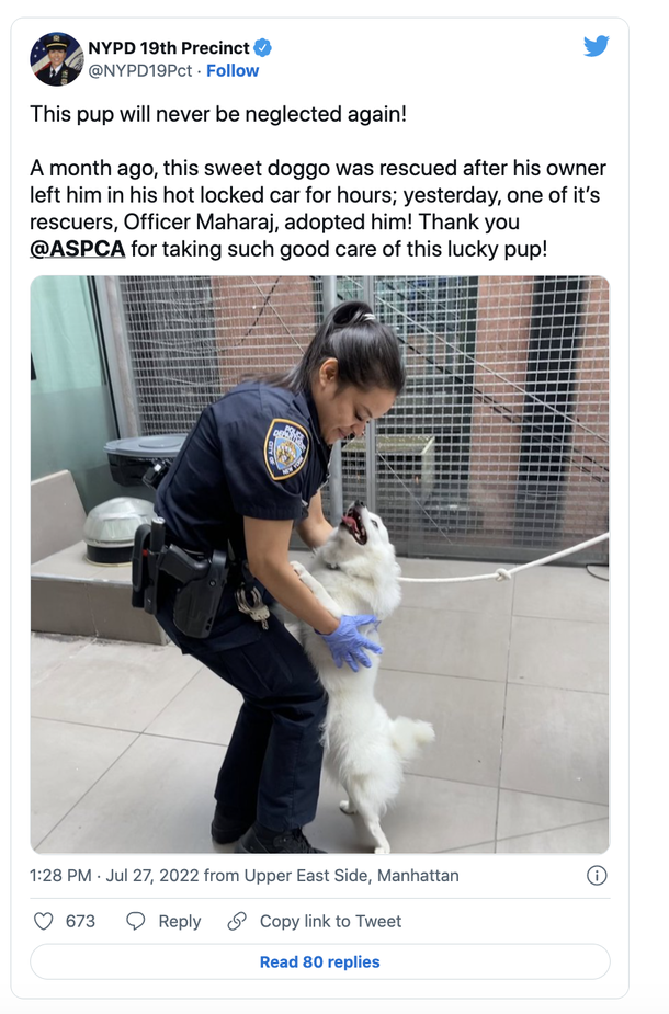 Cop adopts dog who she helped save from hot car a month ago: "Never be neglected again" - picture 2
