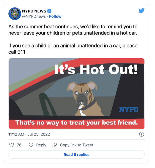 Cop adopts dog who she helped save from hot car a month ago: "Never be neglected again" - picture 3
