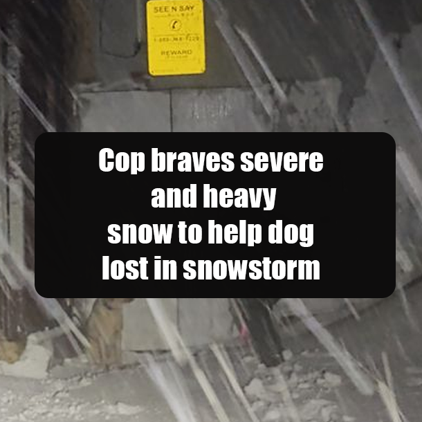Cop braves severe and heavy snow to help dog lost in snowstorm