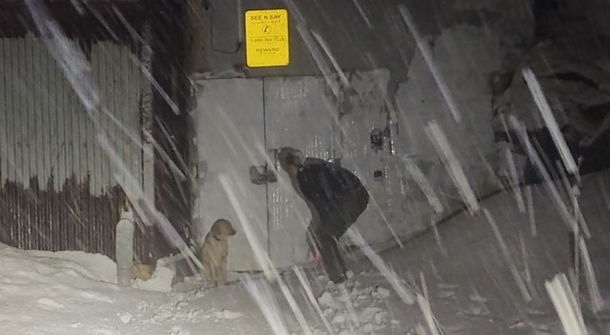 Cop braves severe and heavy snow to help dog lost in snowstorm - picture 2