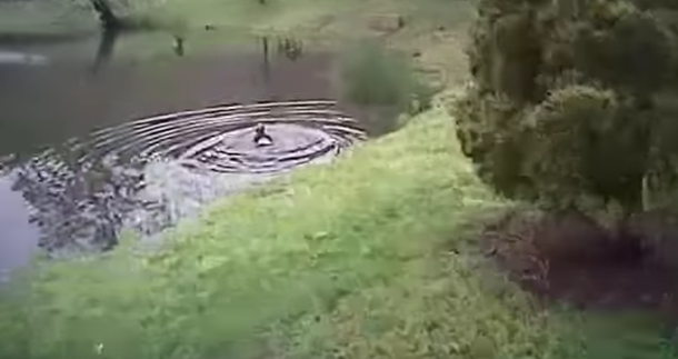 Cop Feels God Leading Him To Remote Area, Starts Running As Soon As He Spots The Boy - picture 3