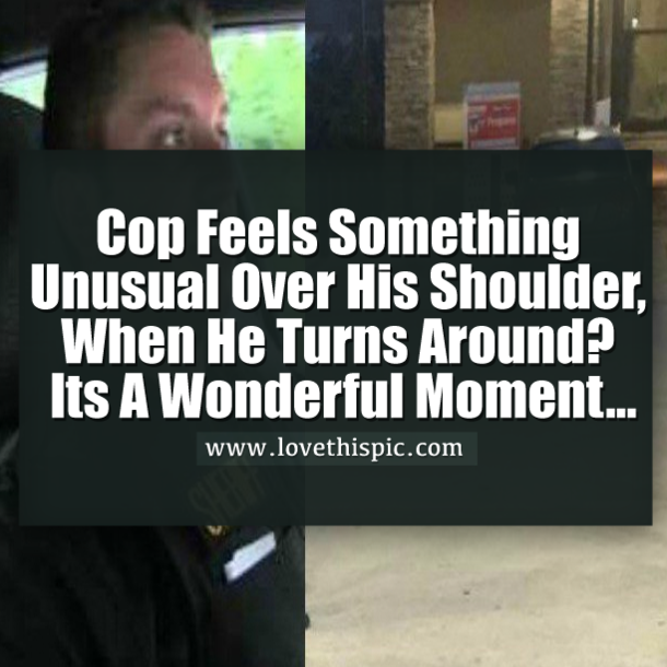 Cop Feels Something Strange Over His Shoulder. When He Turns Around, He's In Shock