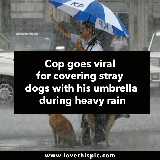 Cop goes viral for covering stray dogs with his umbrella during heavy rain