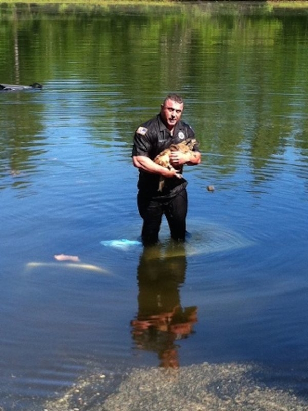 Cop Jumps Into These Waters Because Of A Drowning Truck, What He Comes Out With? Good Job Officer! - picture 2