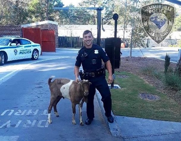 Cop Stops Young Boy, Asks Him To Come To His Patrol Car When He Suspected No One Was Looking - picture 3