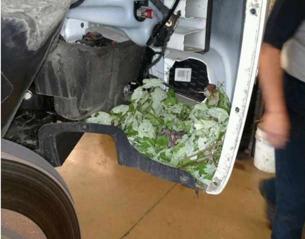 Cop Takes Police Car To Mechanic, When He Inspects It, He Spots Something Absolutely Shocking - picture 3