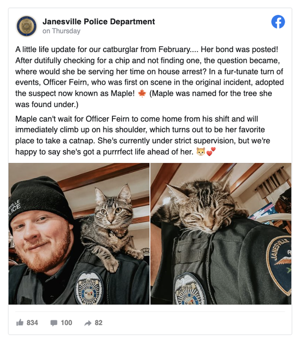 Cop ‘arrests’ stray cat found on duty, then adopts her - picture 3