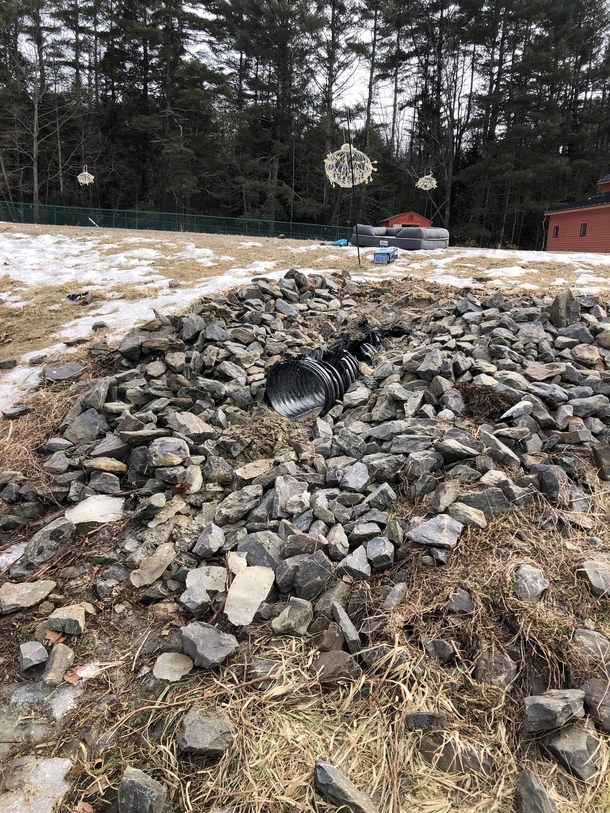 Cops and Firefighters save golden retriever trapped in frozen drain pipe - picture 2