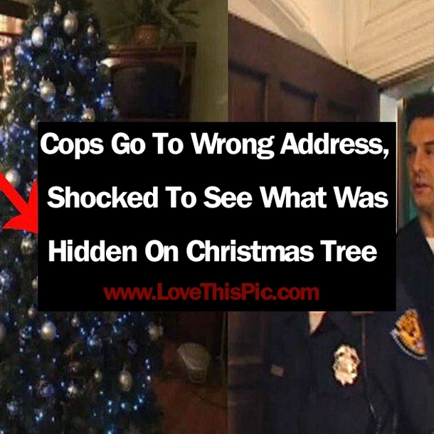 Cops Go To Wrong Address, Shocked To See What Was Hidden On Christmas Tree