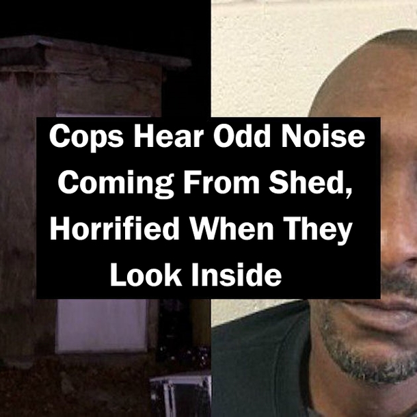 Cops Hear Odd Noise Coming From Shed, Horrified When They Look Inside